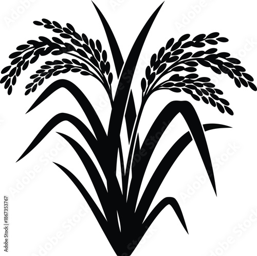 Black silhouette of rice stalks with grains on white background