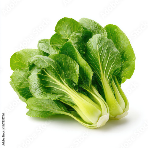 Fresh green bok choy with leafy stems, vibrant and crisp