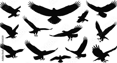 Flying eagle silhouette collection, powerful birds of prey in action poses, black vector illustration set isolated on white background