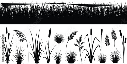Grass silhouette collection, meadow plants, reeds and cattails border elements isolated black vector illustration set for landscape design projects usage