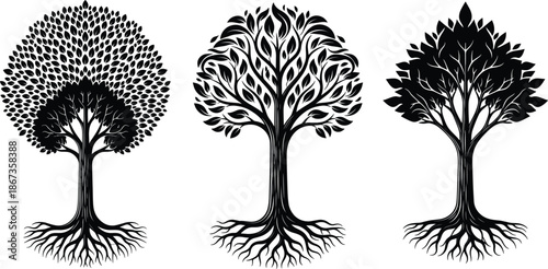 Collection of three detailed black tree silhouettes with intricate leaf patterns, sturdy trunks, and exposed root systems isolated on a white background for nature branding.