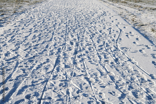Snow-covered winter path with many tracks and footprints, bright sunlight, natural texture and cold seasonal atmosphere.