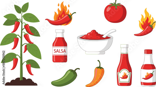 Set of flat vector illustrations featuring hot chili peppers on plants, spicy salsa dip, red tomato, bottles of hot sauce with flames, and colorful jalapeños on a white background for Mexican food des