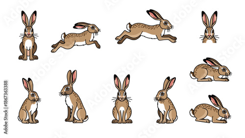 A collection of hares in various natural poses, showcasing their agility and wildness, suitable for nature themes or wildlife illustrations.