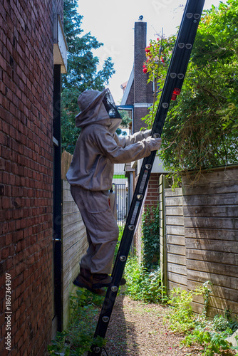 Canvastavla Pest controller on  a ladder to exterminate a wasp nest