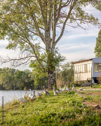 Εκτύπωση καμβά Panoramic view of Tychero Lake and hotel Thrassa in Soufli region Evros Greece,