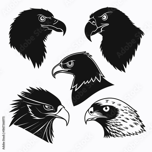Collection of eagle heads