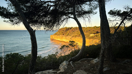 Beach Sea Coast ocean holiday with a great look and atmospheric