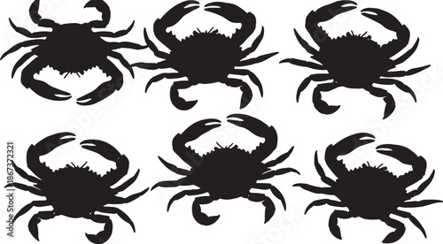 Set of six detailed crab illustrations with realistic features