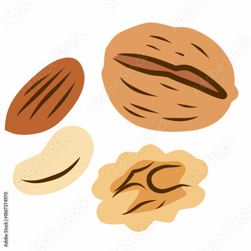 Mixed Nuts in Flat Illustration Style for Healthy Snack Design