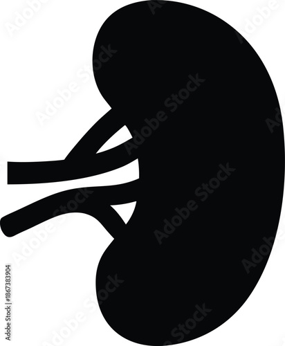 spleen oval shape silhouette vector illustration on transparent background
