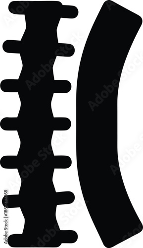 spine curvature cervical to sacral silhouette vector illustration on transparent background