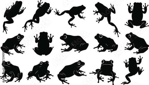 Frog silhouette, black vector, amphibian pose, jumping frog, sitting frog, nature icon, graphic, illustration, wildlife, biology, movementFrog silhouette, black vector, 