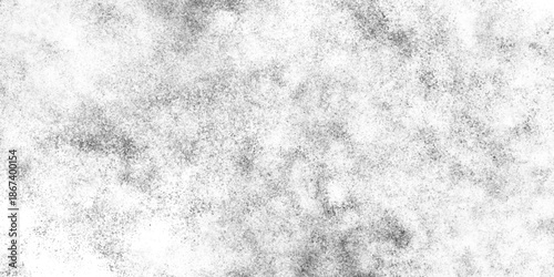 Black particles explosion isolated on white background, abstract neutral backdrop with subtle texture, Plastered long panoramic concrete wall, black and white abstract powder explosion background.