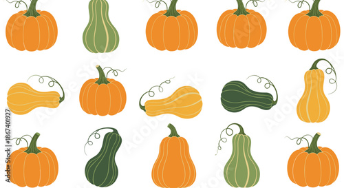 Seamless pattern showing various orange green and yellow pumpkins in different shapes on a plain white background for autumn decor.