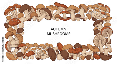 Decorative frame composed of various hand-drawn autumn mushrooms, encircling the text Autumn Mushrooms for seasonal forest themes.
