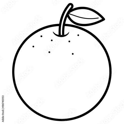 Orange fruit line art vector illustration, clean black outlines, consistent stroke weight, isolated on white background