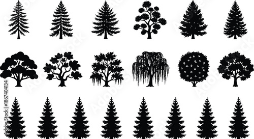 Black tree silhouette collection, pine fir and deciduous forest trees set for landscaping design, nature concept, vector illustration isolated on white background