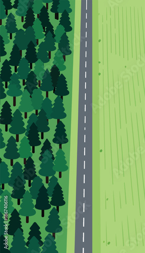 A stylized, aerial view of a road dividing a dense forest from a grassy field
