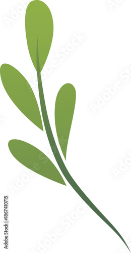 Green leaves sprig vector icon, botanical floral decoration element isolated, natural plant fragrant herb flavor foliage