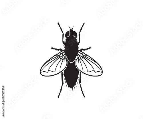 Black Fly Silhouette Isolated on White Background