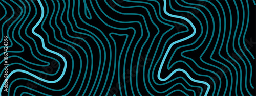 An abstract image with wavy blue lines of varying thickness and brightness on a black background. It is very reminiscent of a stylized topographic map.