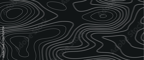 an abstract image of smooth contour lines - similar to a topographic map or the texture of a tree - painted in soft white color on a black background.