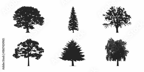Silhouettes of various tree types against a clean white background