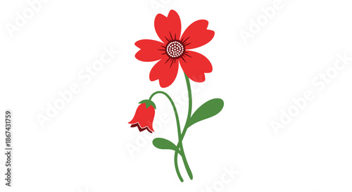 A charming and simple flat-style illustration of a single red flower with a white center and a drooping bud on a curved green stem with leaves.