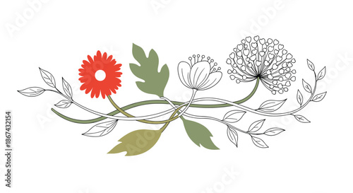 A unique horizontal floral arrangement blending colored and hand-drawn sketch elements, featuring various flowers and leaves intertwined on winding stems for a decorative border.