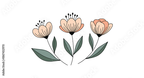 A simple and elegant illustration of three stylized pink flowers with black stamens and graceful gray-green leaves, isolated on a clean white background for a minimalist look.