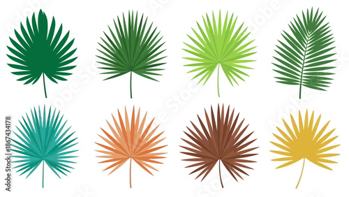Colorful tropical palm leaves collection design elements and backgrounds