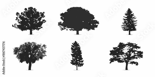 Silhouette collection of diverse tree types showcasing different foliage shapes