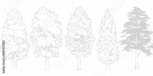 A collection of different tree shapes and foliage rendered in grayscale