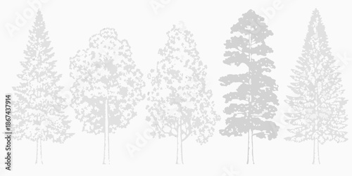 Silhouettes of coniferous and deciduous trees against a plain white background