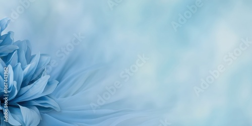 Soft blue flower petals fading into light background, editable and customizable image ideal for wellness branding, beauty concepts, or calm editorial design.