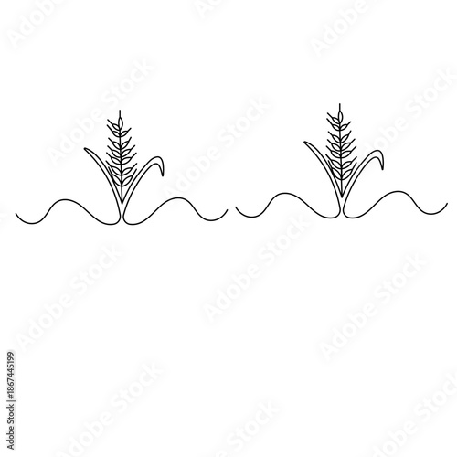 Minimalist wheat grain single line art vector illustration

