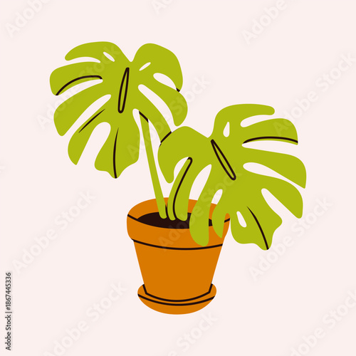 Monstera plant in a pot. Potted house plant, green home decor, care and cultivation concept. Hand drawn trendy Vector illustration. Isolated design element. Poster, sticker, print template