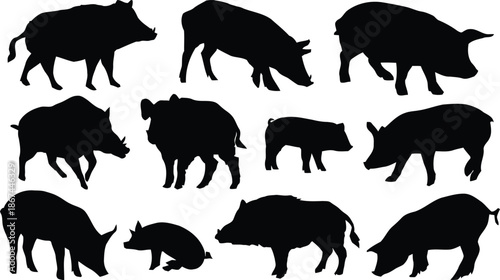 boar, silhouette, wild boar, animal, mammal, pig, swine, feral, wildlife, nature, standing, walking, feeding, pose, illustration, vector, graphic, clipart, image, template, design, print, decoration, 