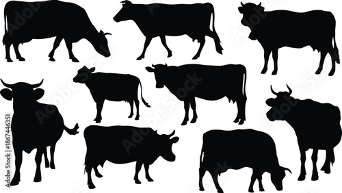 cow, silhouette, cattle, animal, farm, agriculture, field, pasture, grazing, mammal, livestock, domestic, black, white, vector, illustration, design, graphic, country, rural, nature, wildlife, standin