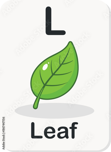 Alphabet Flashcard Letter L with Leaf for Kids Learning