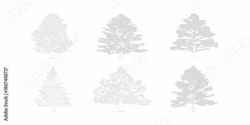 Silhouettes of coniferous trees in a minimalist grayscale graphic design