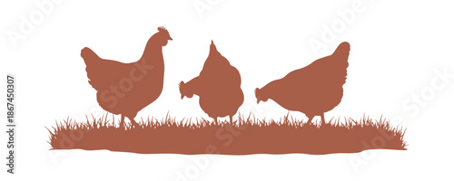 A realistic illustration featuring three colorful hens on a grassy pasture, set against a white background - vector

