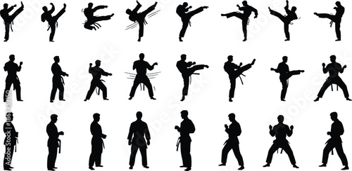 Karate Martial Arts Silhouette Poses Action Kicks Punches Stances vector illustration