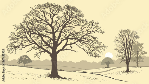 “Winter Solstice Sunrise Over Snow-Covered Field with Soft Golden Light”