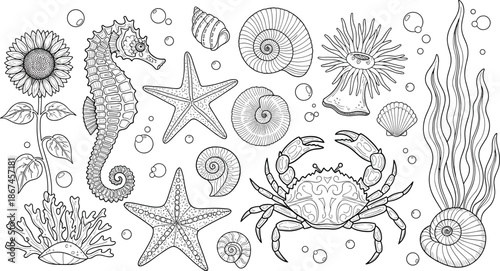 Seahorse, crab, shell, coral, starfish, sunflower, bubbles, marine, ocean, sea, underwater, nature, silhouette, black, vector, graphic, design, illustration, biodiversity, decorative, pattern, plant