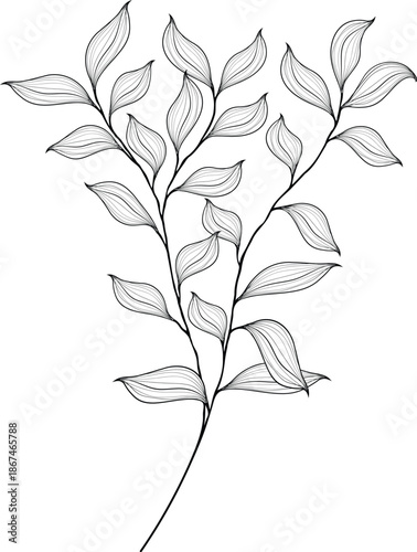 Delicate Botanical Line Art Branch vector