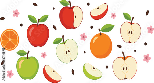 Apple and orange fruit collection featuring colorful vector designs of whole fruits slices and halves with seeds and blossoms for healthy food.