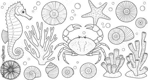 Marine life line art collection featuring black and white vector designs of a seahorse crab starfish coral and seashells for aquatic branding.