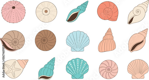 Seashell and sea urchin icon collection featuring colorful vector designs of spiral shells scallops and starfish for marine life and coastal branding.